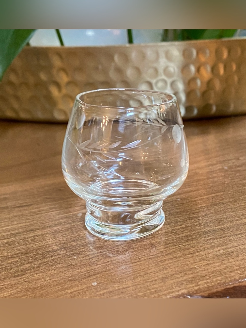 VTG Pioneer Willow Moon Etched Flowers Leaves Shot Glass